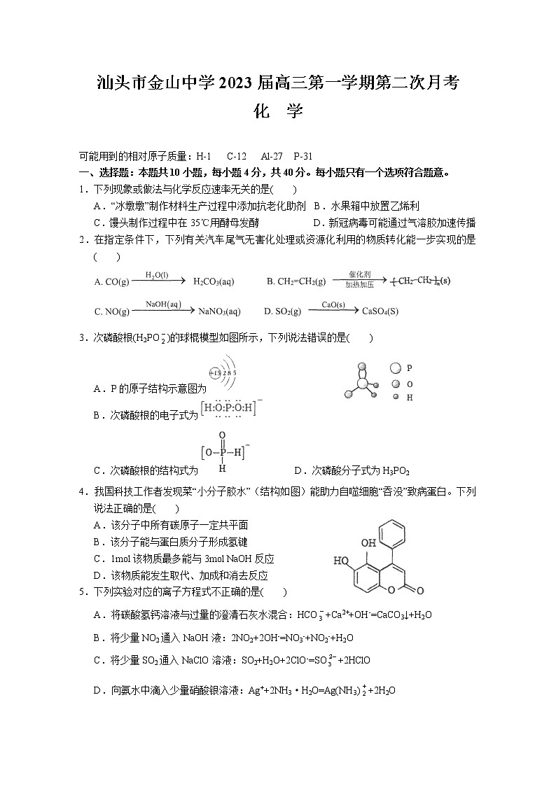 广东省汕头市金山中学2022-2023学年高三化学上学期第二次月考试题（Word版附答案）第1页