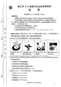 广东省湛江市2023届高三化学上学期10月调研测试试题（PDF版附解析）