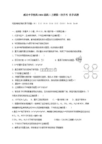 四川省内江市威远中学校2022-2023学年高二上学期第一次月考化学试题（含答案）