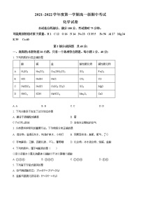 广东省茂名市第五中学2021-2022学年高一上学期期中考试化学试题（含答案）