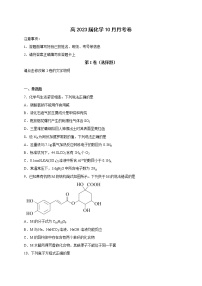 四川省资中县球溪高级中学2022-2023学年高三上学期10月月考化学试题