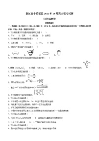 浙江省10校联盟2022-2023学年高三上学期10月月考化学试题