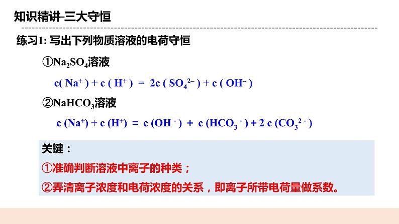 人教版化学选修一3.3.4《三大守恒和离子浓度大小的比较》课件+教学设计05