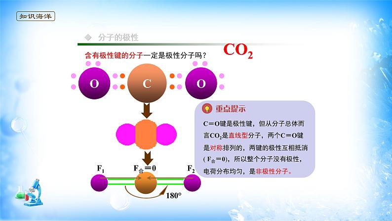 课件 2.3 分子结构与物质的性质（1）（共价键的极性、分子的极性）-高中化学选择性必修2（新教材同步课件）08