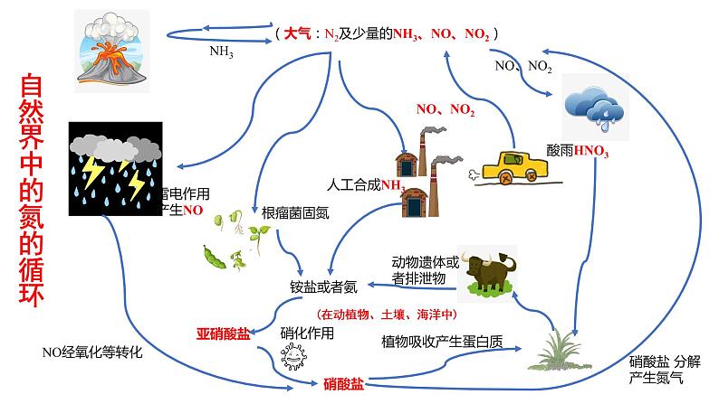 《氮及其化合物》第一课时课件PPT+教学设计05