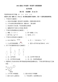 2023天津市实验中学高三上学期第一阶段学习质量检测化学试题含答案