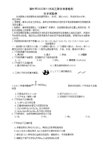 浙江省湖州市2023届高三化学上学期11月教学质量检测试题（Word版附答案）