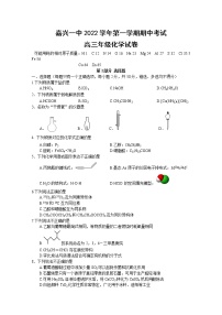 浙江省嘉兴市第一中学2023届高三化学上学期期中检测试卷（Word版附答案）