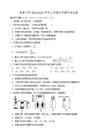 福建省诏安县桥东中学2022-2023学年高三上学期期中考试化学试题（含答案）