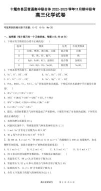 湖北省十堰市县区普通高中联合体2022-2023学年高三上学期11月期中联考化学试题（PDF版含答案）