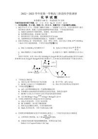 江苏省南京市江宁区2022-2023学年高三上学期学情调研 化学试题及答案