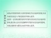 鲁科版高中化学选择性必修1第2章化学反应的方向限度与速率第3节化学反应的速率第2课时外界条件对化学反应速率的影响课件