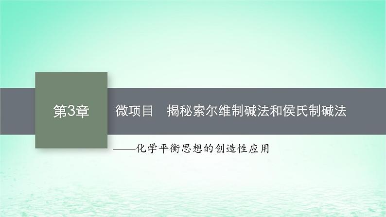 鲁科版高中化学选择性必修1第3章物质在水溶液中的行为微项目揭秘索尔维制碱法和侯氏制碱法课件01