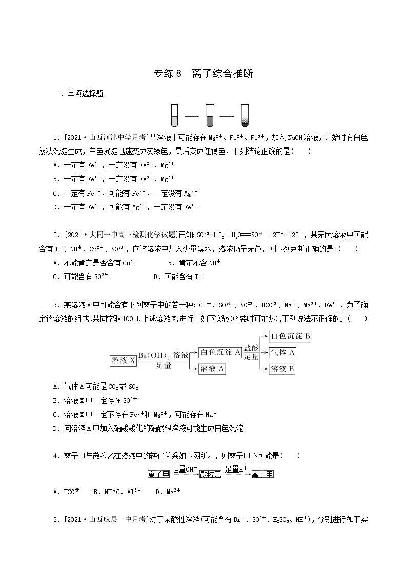 全国通用高考化学一轮复习专练8离子综合推断含答案第1页