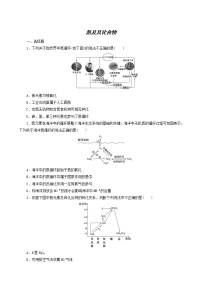 人教版高考化学一轮复习课时作业12氮及其化合物含答案