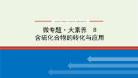 人教版高考化学一轮复习微专题大素养8含硫化合物的转化与应用课件