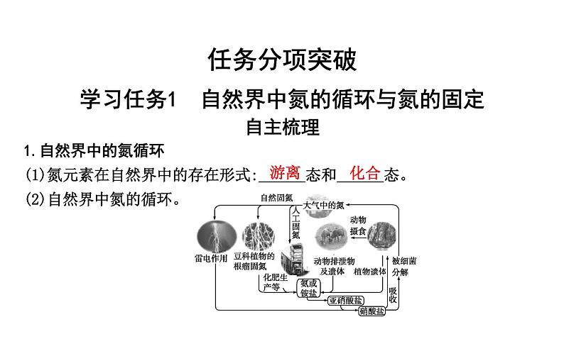 鲁科版高中化学必修第一册第3章第3节第1课时自然界中氮的循环课件第4页