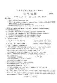 江淮十校 2023届高三第一次联考化学试题及答案