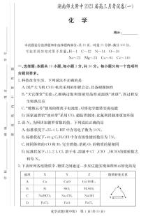 湖南师大附中2023届高三上学期月考试卷（一）化学试题 PDF版含答案