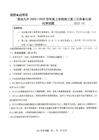 山东省青岛第九中学2022—2023学年高三上学期10月月考化学试卷(无答案）