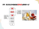 4.1 糖类课件+教案