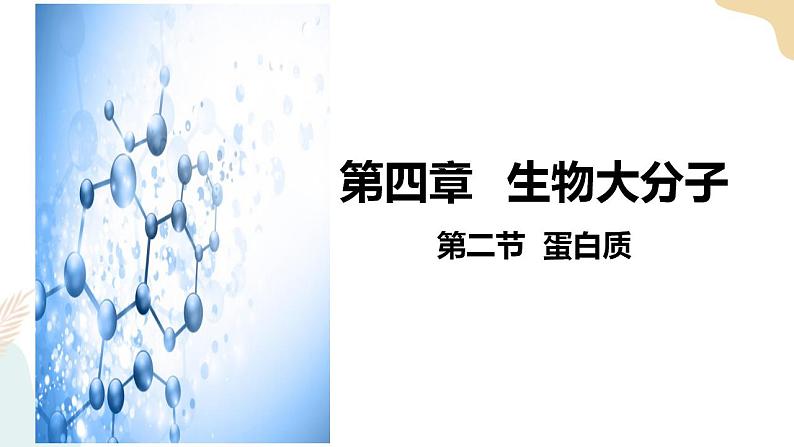 4.2 蛋白质课件+教案01