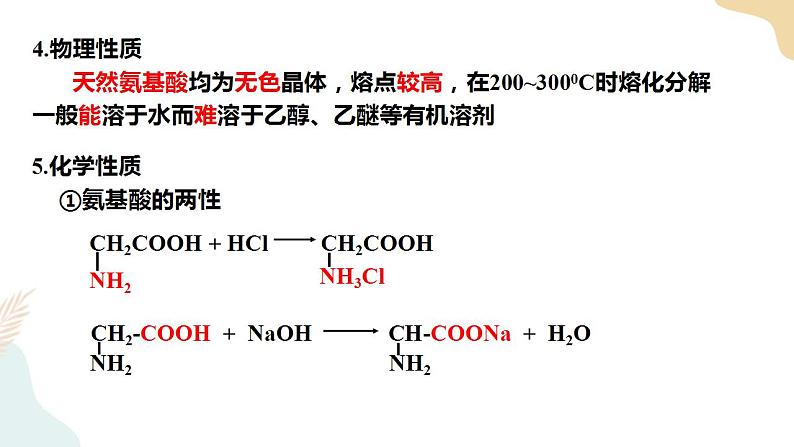 4.2 蛋白质课件+教案05