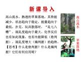 化學(xué)人教版（2019）選擇性必修1第二章第三節(jié) 化學(xué)反應(yīng)進(jìn)行的方向 課件