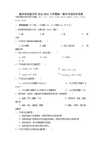 广东省惠州市实验中学2022-2023学年高一上学期期中考试化学试题（含答案）