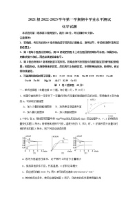 山东师范大学附属中学2022-2023学年高二化学上学期期中试题（Word版附答案）