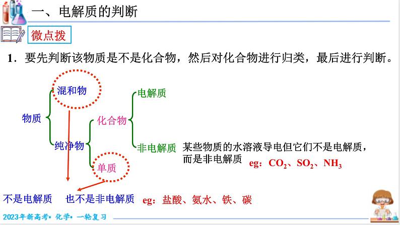 【备战2023高考】化学考点全复习——1.2.1《电解质及其电离》复习课件（新教材新高考）08