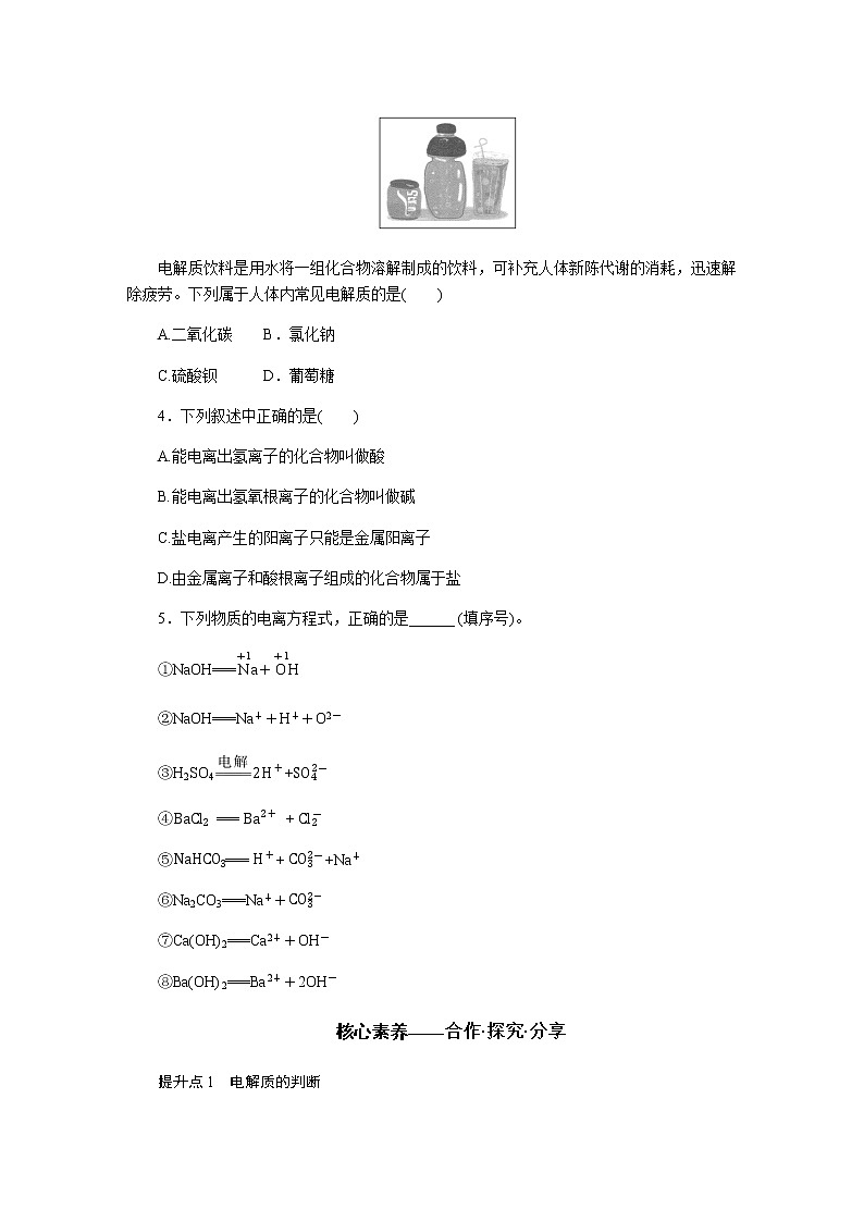 苏教版高中化学必修第一册1.3.2电解质溶液导学案03