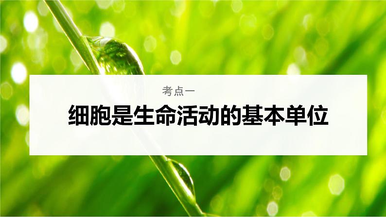 【备战2023高考】生物考点全复习——第01讲《走近细胞》复习课件（新教材新高考）06