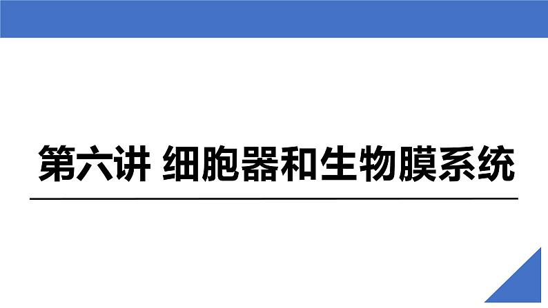 【备战2023高考】生物考点全复习——第07讲《细胞器和生物膜系统》复习课件（新教材新高考）第2页