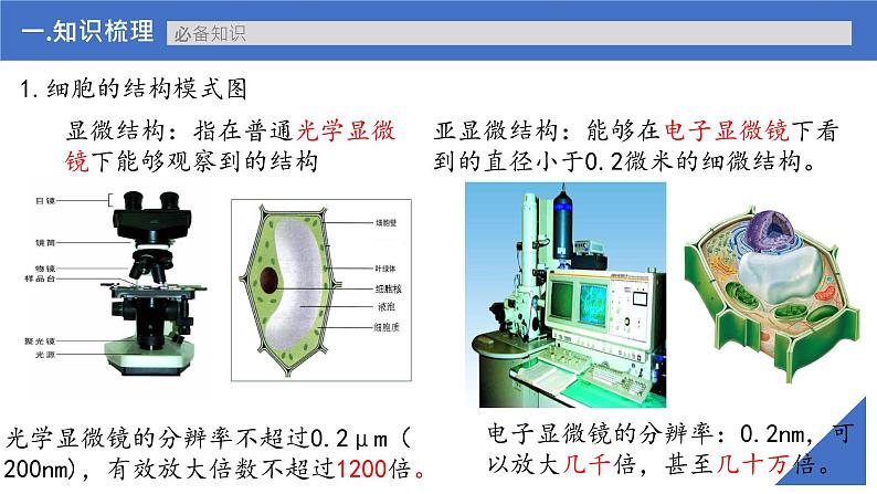 【备战2023高考】生物考点全复习——第07讲《细胞器和生物膜系统》复习课件（新教材新高考）第6页