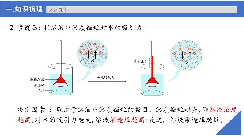 【备战2023高考】生物考点全复习——第08讲《细胞的物质输入与输出》复习课件（新教材新高考）08