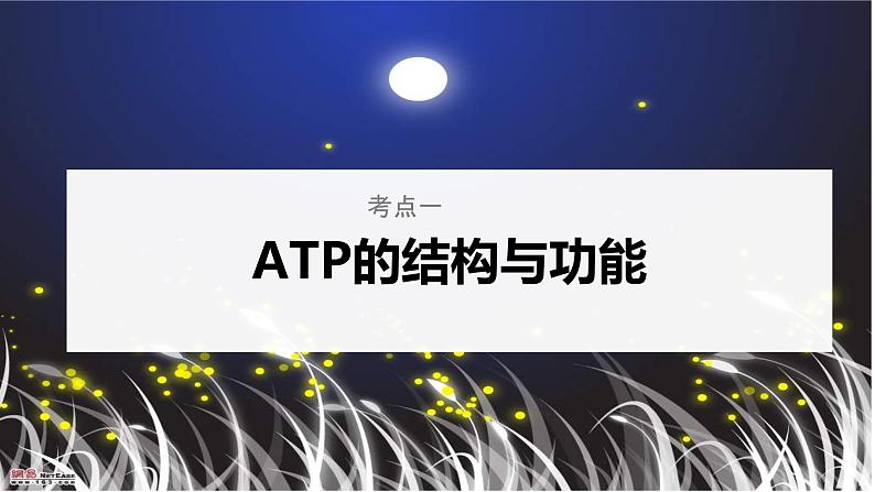 【备战2023高考】生物考点全复习——第10讲《ATP》复习课件（新教材新高考）05