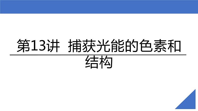 【备战2023高考】生物考点全复习——第13讲《捕获光能的色素和结构》复习课件（新教材新高考）第2页