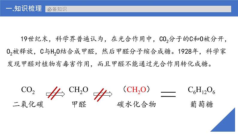 【备战2023高考】生物考点全复习——第14讲《光合作用的原理》复习课件（新教材新高考）第6页