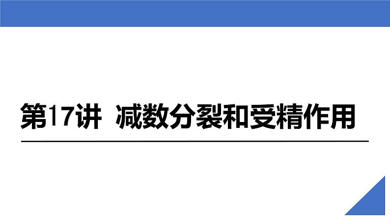 【备战2023高考】生物考点全复习——第17讲《减数分裂和受精作用》复习课件（新教材新高考）第2页