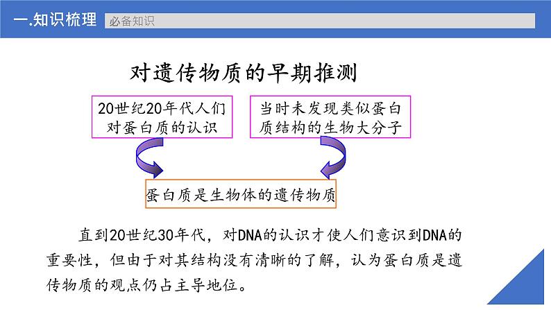 【备战2023高考】生物考点全复习——第25讲《DNA是主要的遗传物质》复习课件（新教材新高考）第6页