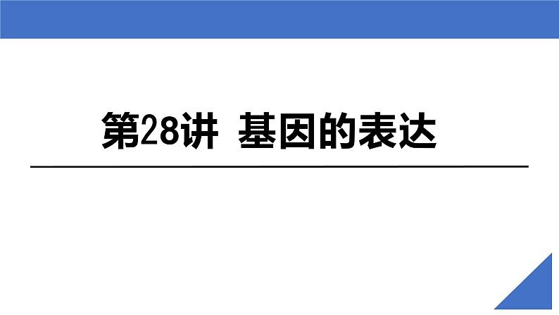 【备战2023高考】生物考点全复习——第28讲《基因的表达》复习课件（新教材新高考）02