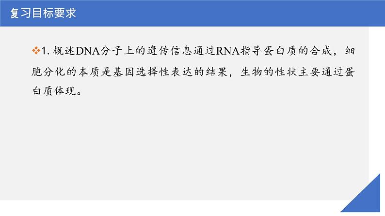 【备战2023高考】生物考点全复习——第28讲《基因的表达》复习课件（新教材新高考）03