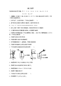 河北省九师联盟2022-2023学年高三上学期11月月考化学试题