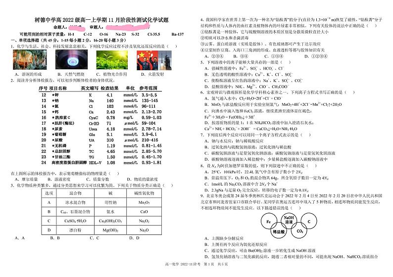 2022-2023学年四川省树德中学高一上学期11月阶段性测试 化学 pdf版第1页