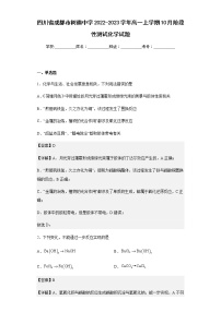 2022-2023学年四川省成都市树德中学高一上学期10月阶段性测试化学试题含解析