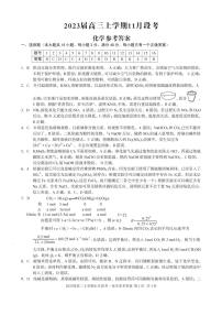 江西省2022-2023学年高三上学期11月月考 化学试题（含答案）