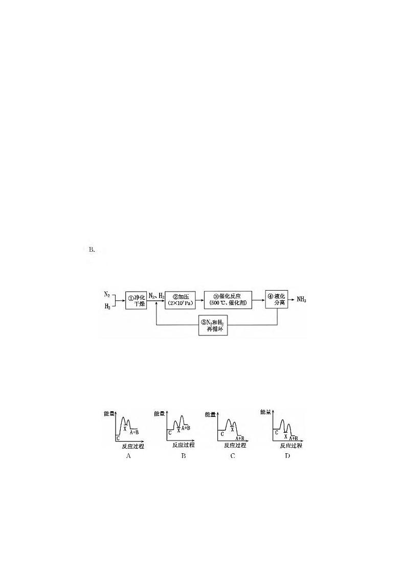 2023洛阳高二上学期期中考试化学PDF版含答案（可编辑）02