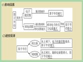 1.2 《元素周期律1》（第二课时） 课件