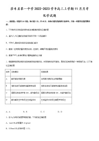 新疆喀什地区莎车县第一中学2022-2023学年高三上学期11月月考化学试题（Word版含答案）